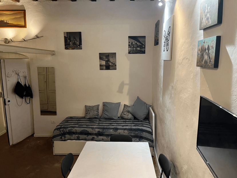 Monolocale in Via dei Serragli, Firenze