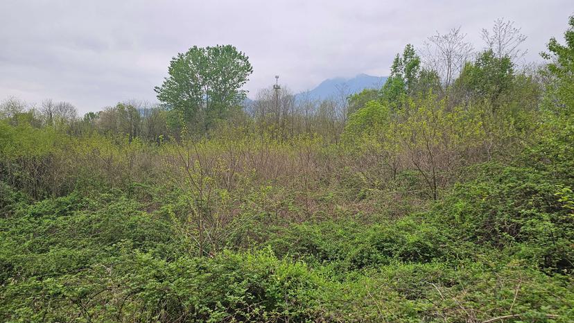 Rustico, Cumiana — foto 5 di 5
