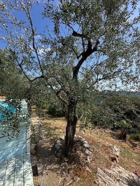 Rustico, Camaiore — foto 3 di 5