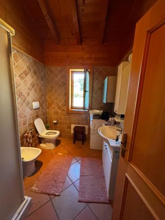 Villa in San Michele, Orte — foto 5 di 5
