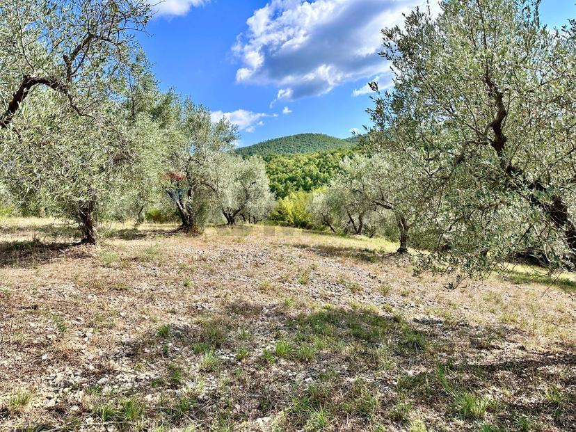 Villa, Torricella in Sabina — foto 5 di 5