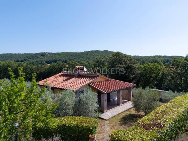 Villa, Massa Marittima — foto 5 di 5