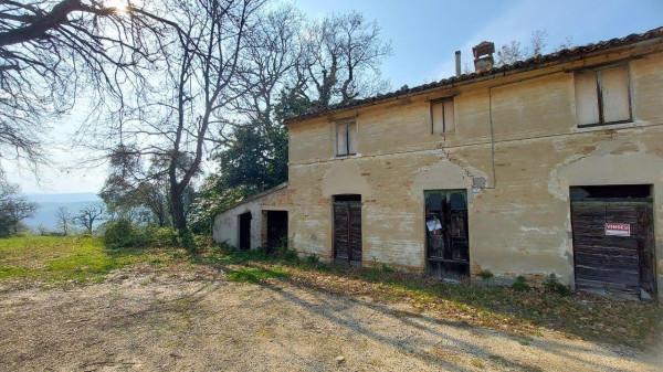 Casa colonica, Mondavio