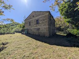 Rustico, Premilcuore