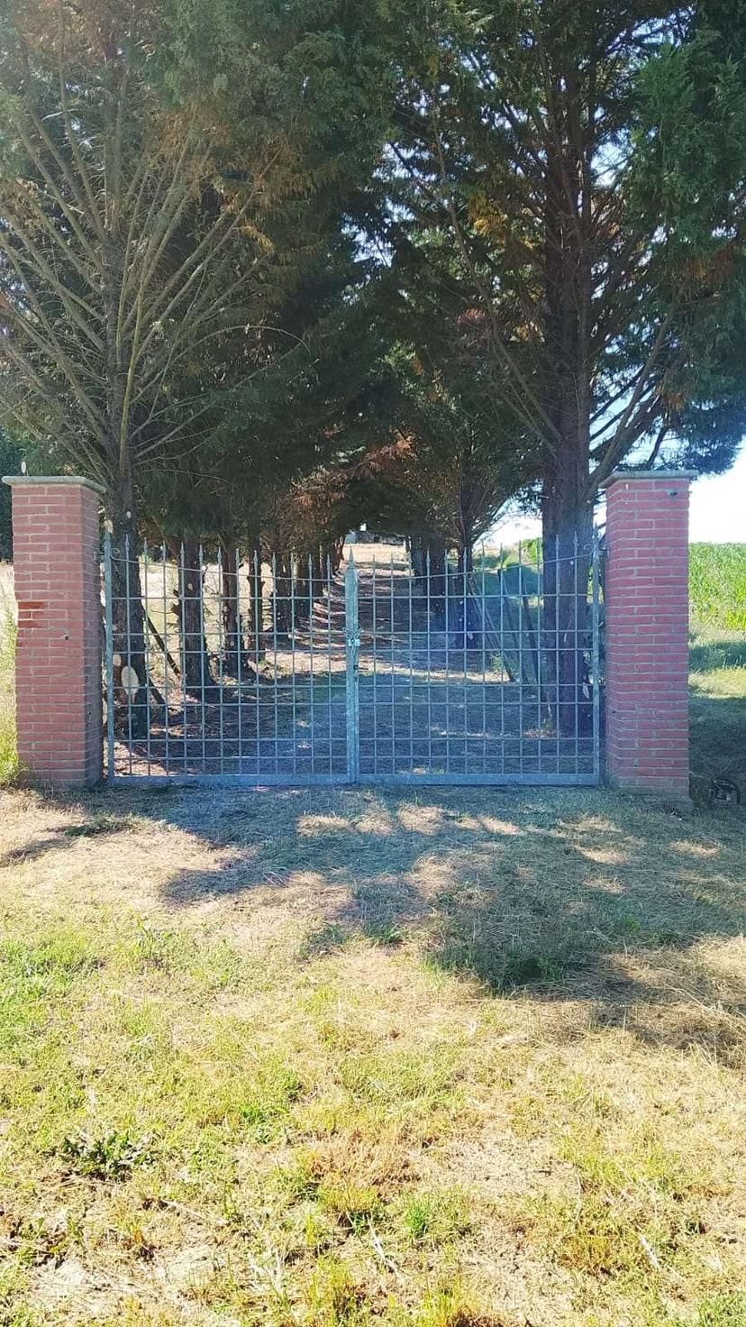 Rustico in Cascina Gibelli  52, Mirabello Monferrato — foto 3 di 5
