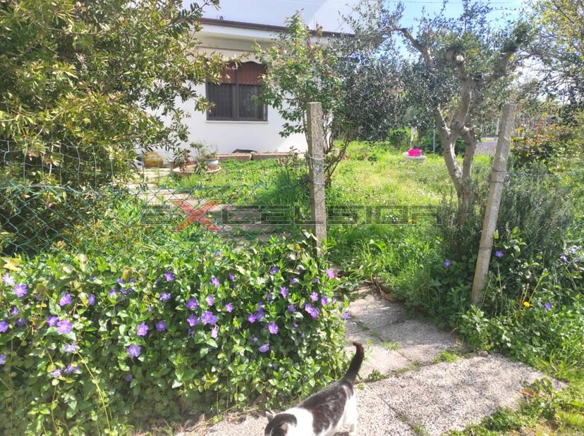 Villa in Via G. Matteotti, 20 Bis, Cavarzere — foto 3 di 5