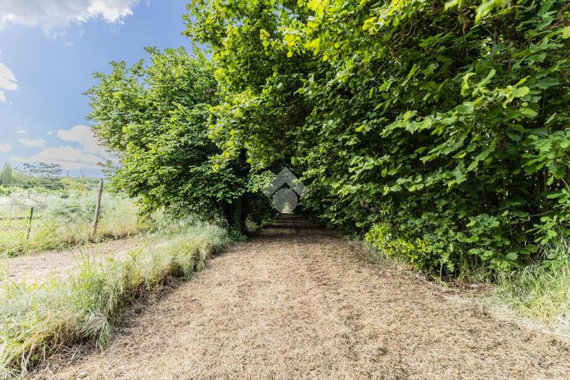 Villa in Via Sant'Angelo, Bassano Romano — foto 3 di 5