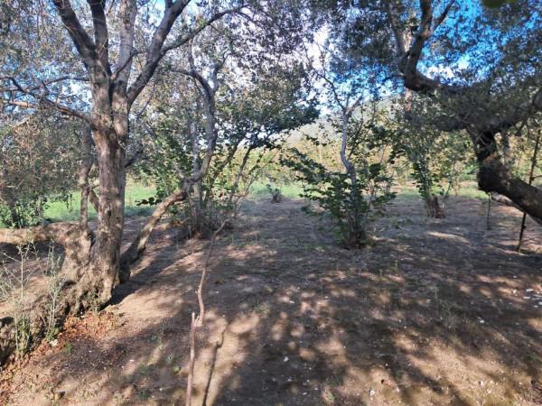 Villa in Via dei Mulini Snc, Avella — foto 4 di 5