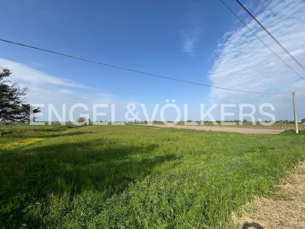 Villa in Via Pietra 74, Musile di Piave — foto 2 di 5