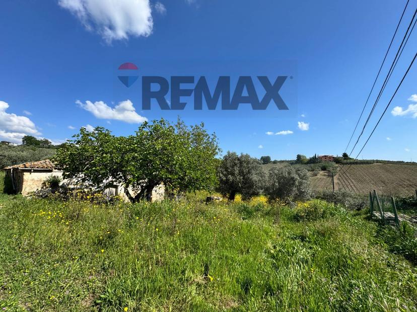 Rustico in C.da Rosciavizza, Mozzagrogna — foto 2 di 5