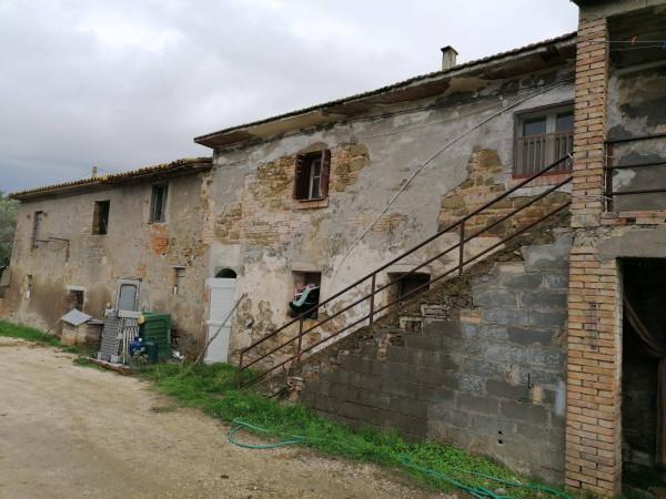 Casale in Strada della Cittadella, Torgiano — foto 4 di 5