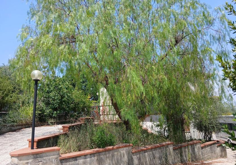 Casa indipendente in Via Roma, Amelia — foto 4 di 5