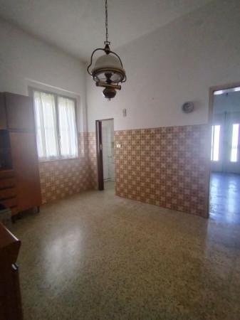 Villa bifamiliare in Viale Dante Alighieri, Lugo — foto 4 di 5