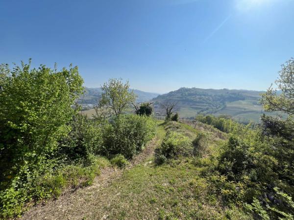Cascina in Via Armentino, Calosso