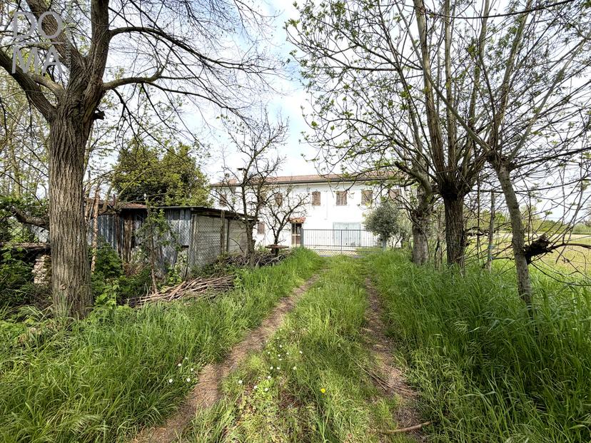 Casa indipendente, Taglio di Po — foto 5 di 5
