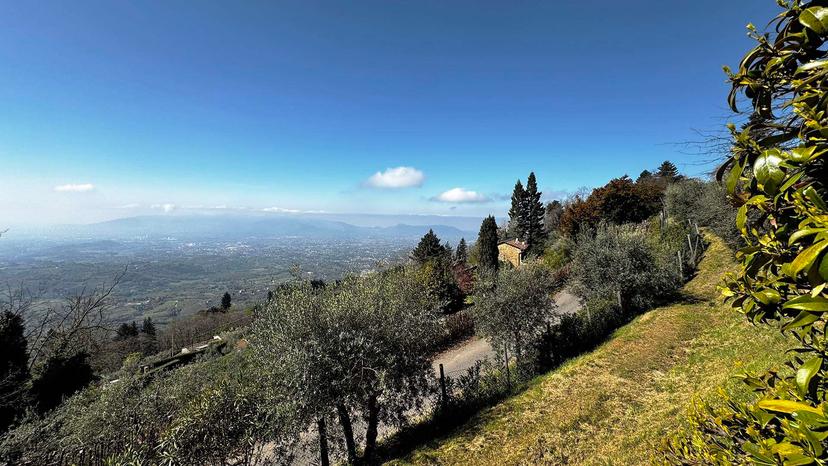 Casa indipendente in Via di Petrognano, Capannori — foto 4 di 5