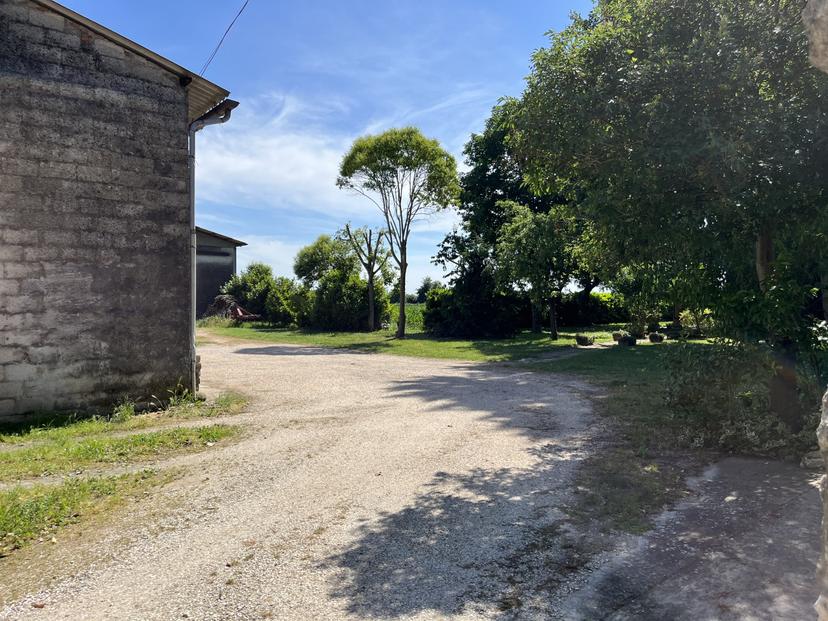 Casa indipendente in Via Termine, Campiglia dei Berici — foto 2 di 5
