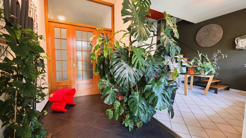 Villa in Via Cisa 126, Borgo Virgilio — foto 2 di 5