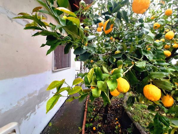 Terratetto unifamiliare in Via Saette, Mascali — foto 5 di 5