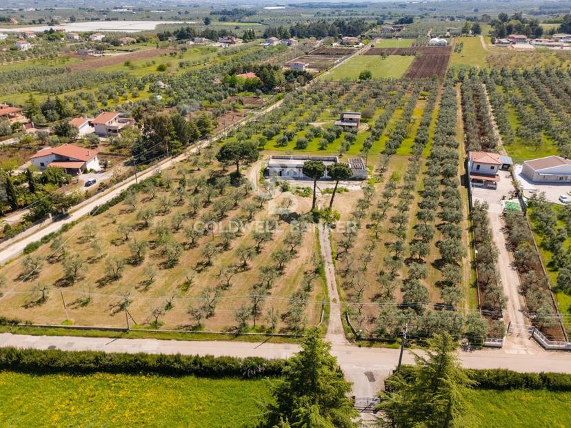 Villa in Strada Esterna Regio Bosco Comunale 13, Corato — foto 5 di 5