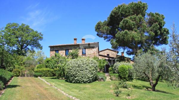 Casale in Via Vecciano, Cetona — foto 3 di 5