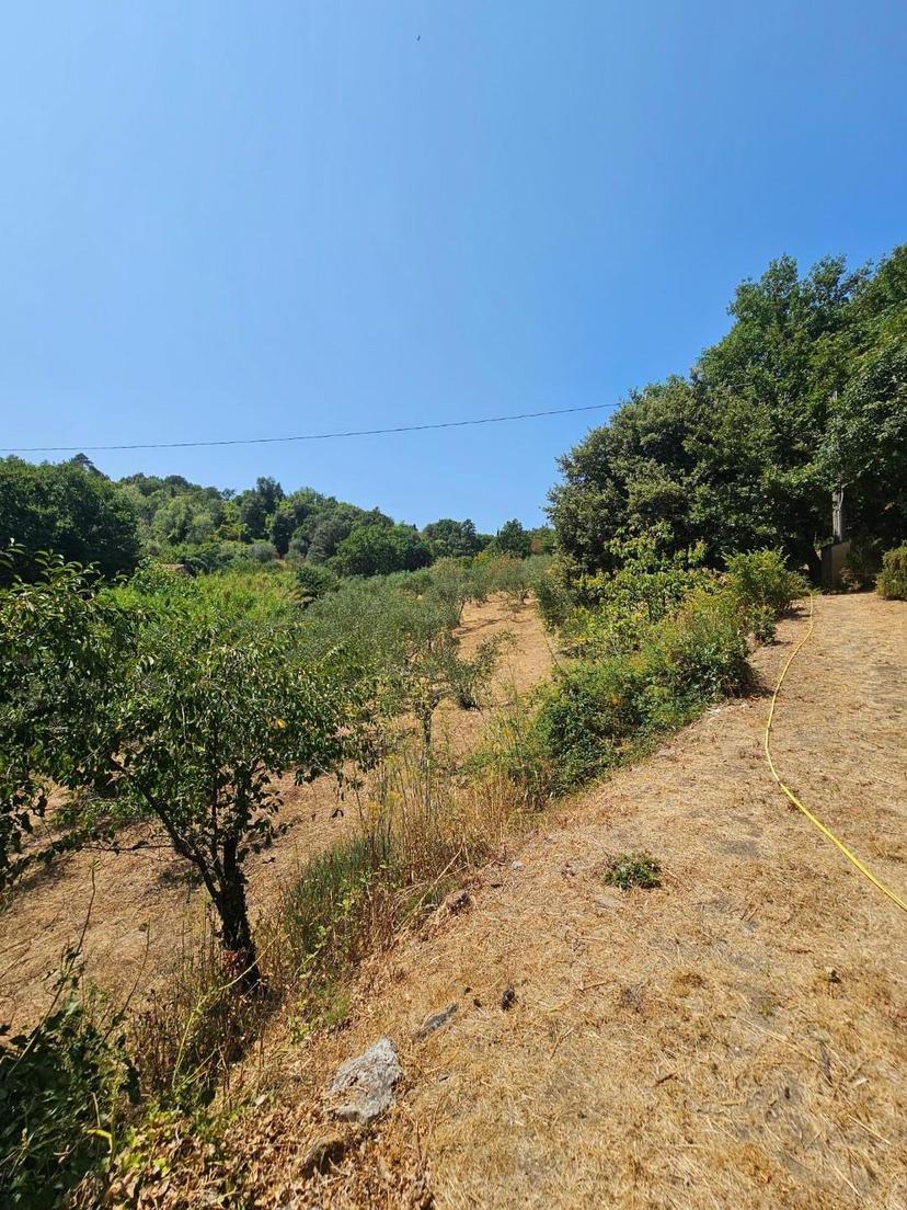 Rustico in Ei Poggi 56034, Chianni — foto 2 di 5