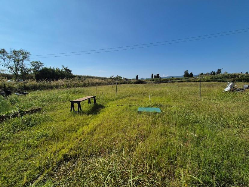 Quadrilocale, Campiglia Marittima — foto 4 di 5