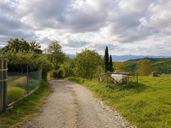 Rustico, Città di Castello