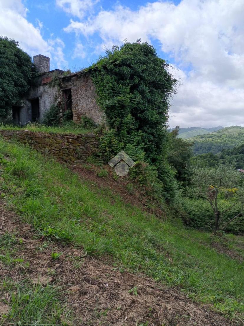 Casa indipendente in Contrada Cerquette, Bellegra — foto 4 di 5