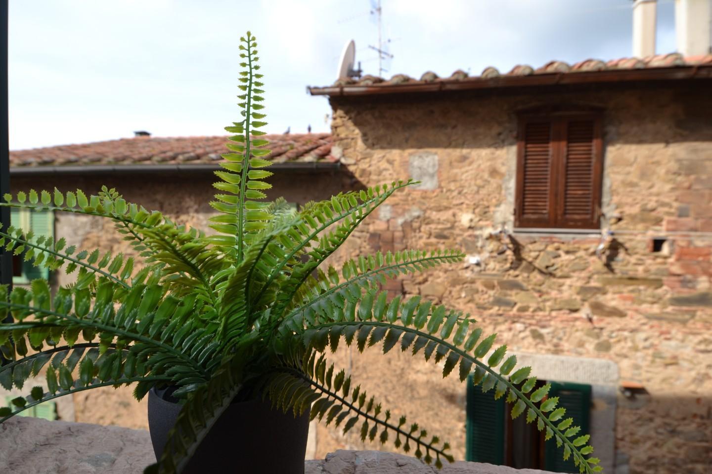 Trilocale, Campiglia Marittima