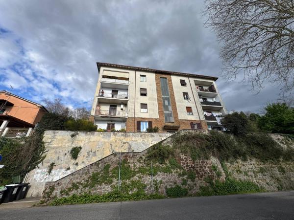 Trilocale in Viale Gabinova, Zagarolo — foto 5 di 5