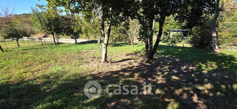 Rustico, Perugia — foto 3 di 5