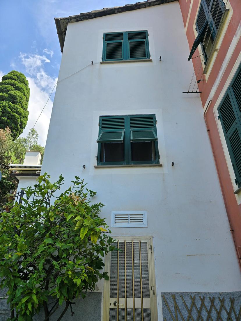 Villa bifamiliare in Via dei Velluti 5, Zoagli — foto 4 di 5