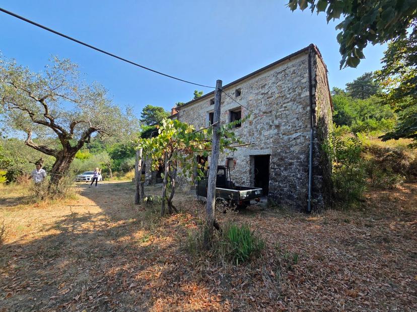 Rustico, Santo Stefano di Magra — foto 3 di 3