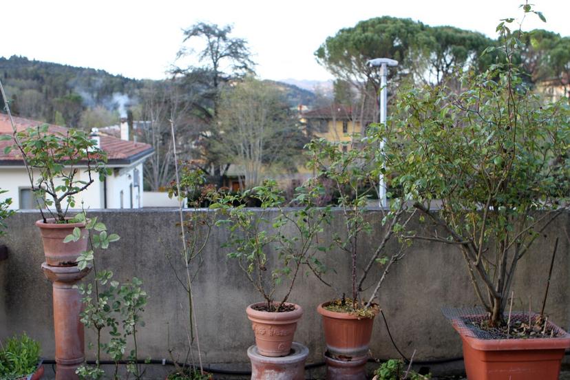 Attico, Fiesole — foto 4 di 5