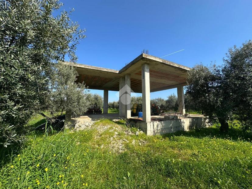 Rustico in C/da Bruscata Grande, Cassano all'Ionio — foto 3 di 5