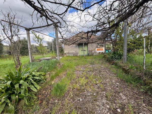Rustico in Via Colle Pallavicini, Zagarolo — foto 4 di 5