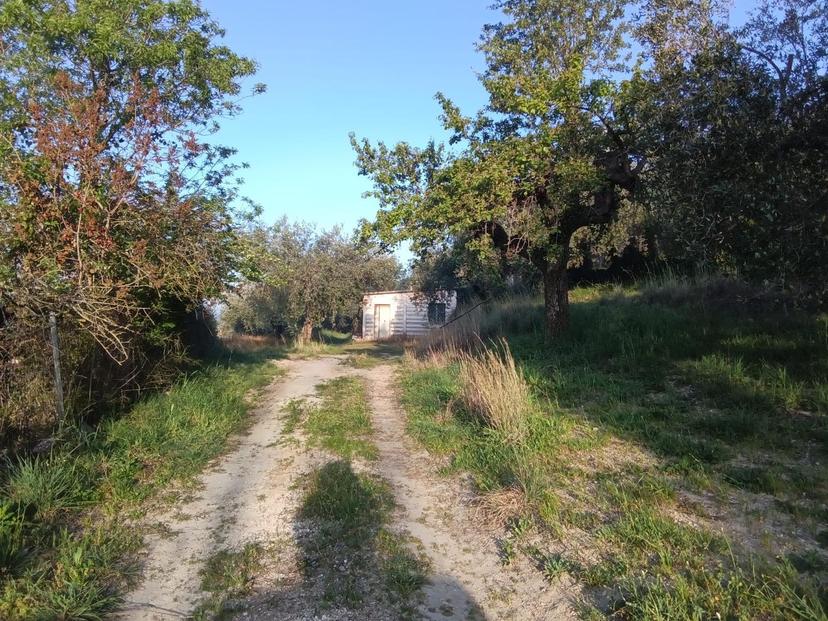 Rustico in Via dei Caolini 334, Marcellina — foto 4 di 5