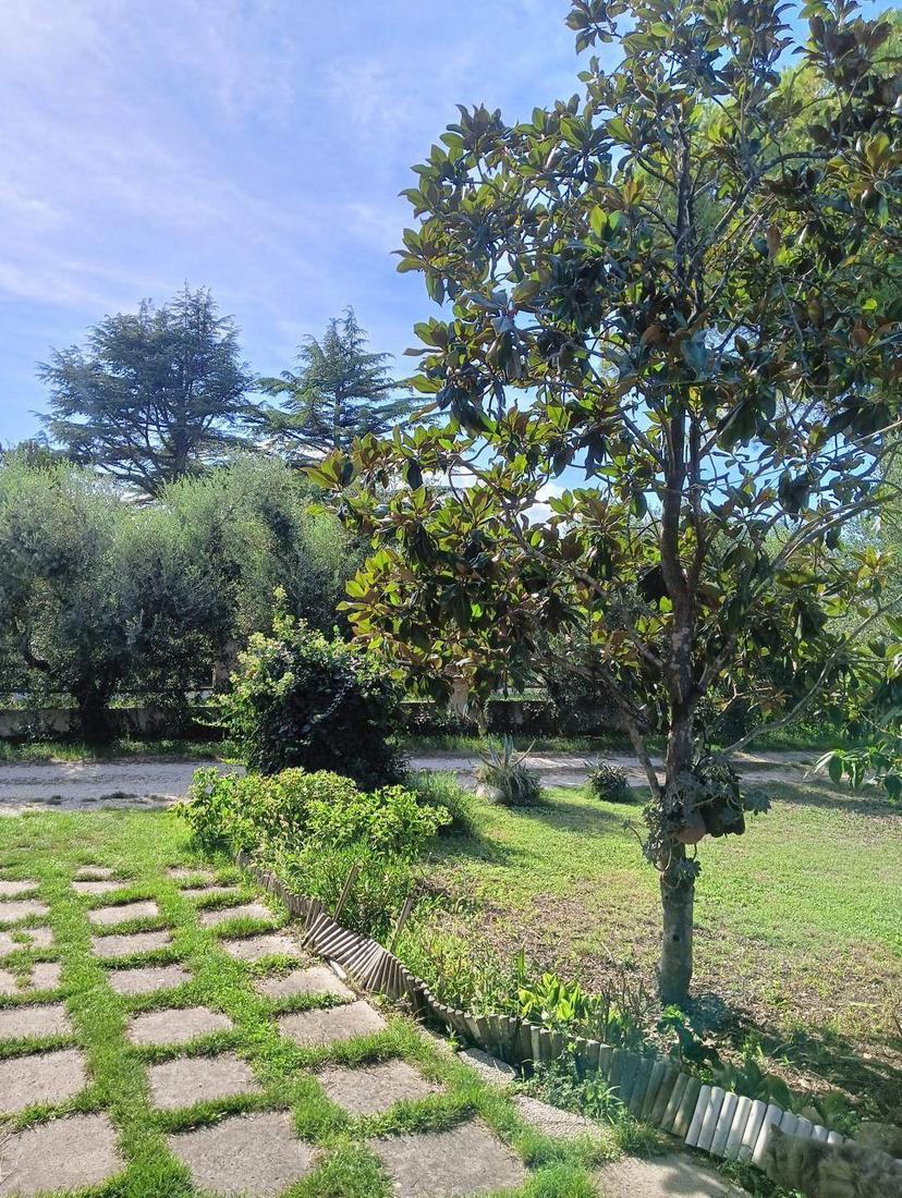 Villa bifamiliare, Sant'Elpidio a Mare — foto 3 di 5