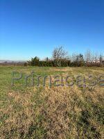 Rustico in Via Casotton 1, Albaredo d'Adige — foto 2 di 3