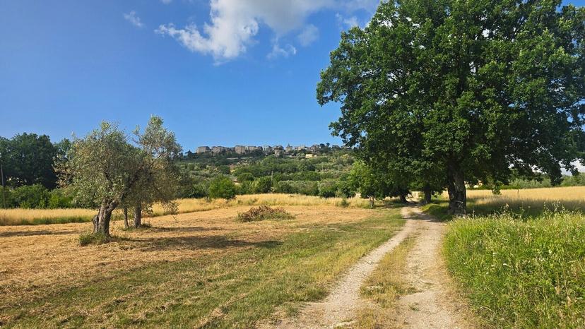Rustico in Vocabolo Menicaglie 11, Baschi — foto 3 di 5