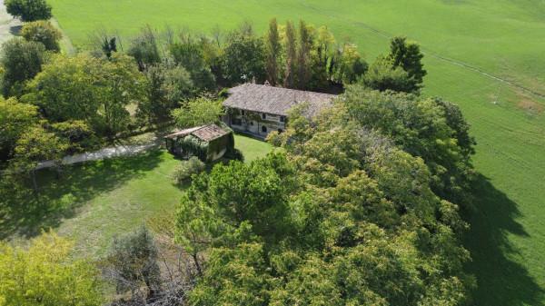 Casale, Pergola — foto 3 di 5