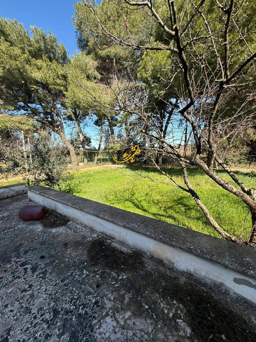 Rustico in Strada Comunale del Rosario, Putignano — foto 3 di 5