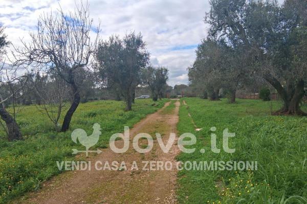 Rustico in Contrada Pallone 1, Francavilla Fontana — foto 2 di 5