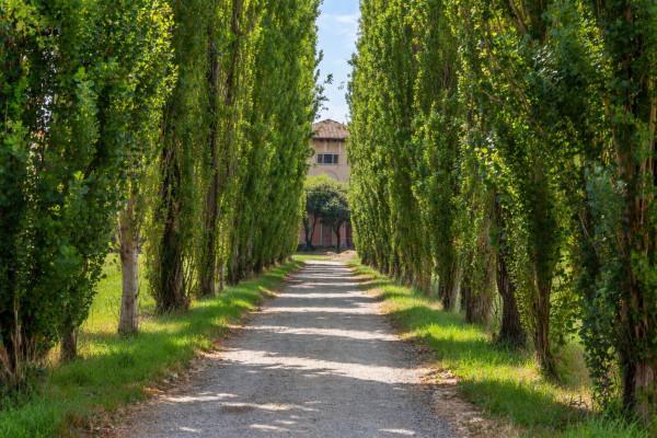Villa in Via Bergamo 28, Crema