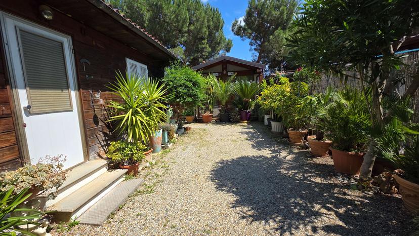 Casa indipendente in Via Pineta 70, Cisano sul Neva — foto 3 di 5