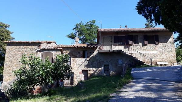 Casa colonica, Passignano sul Trasimeno — foto 3 di 5