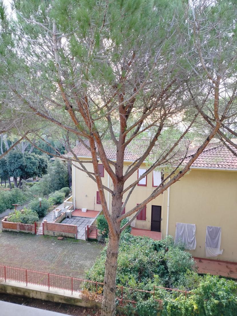 Trilocale, Rosignano Marittimo — foto 4 di 5