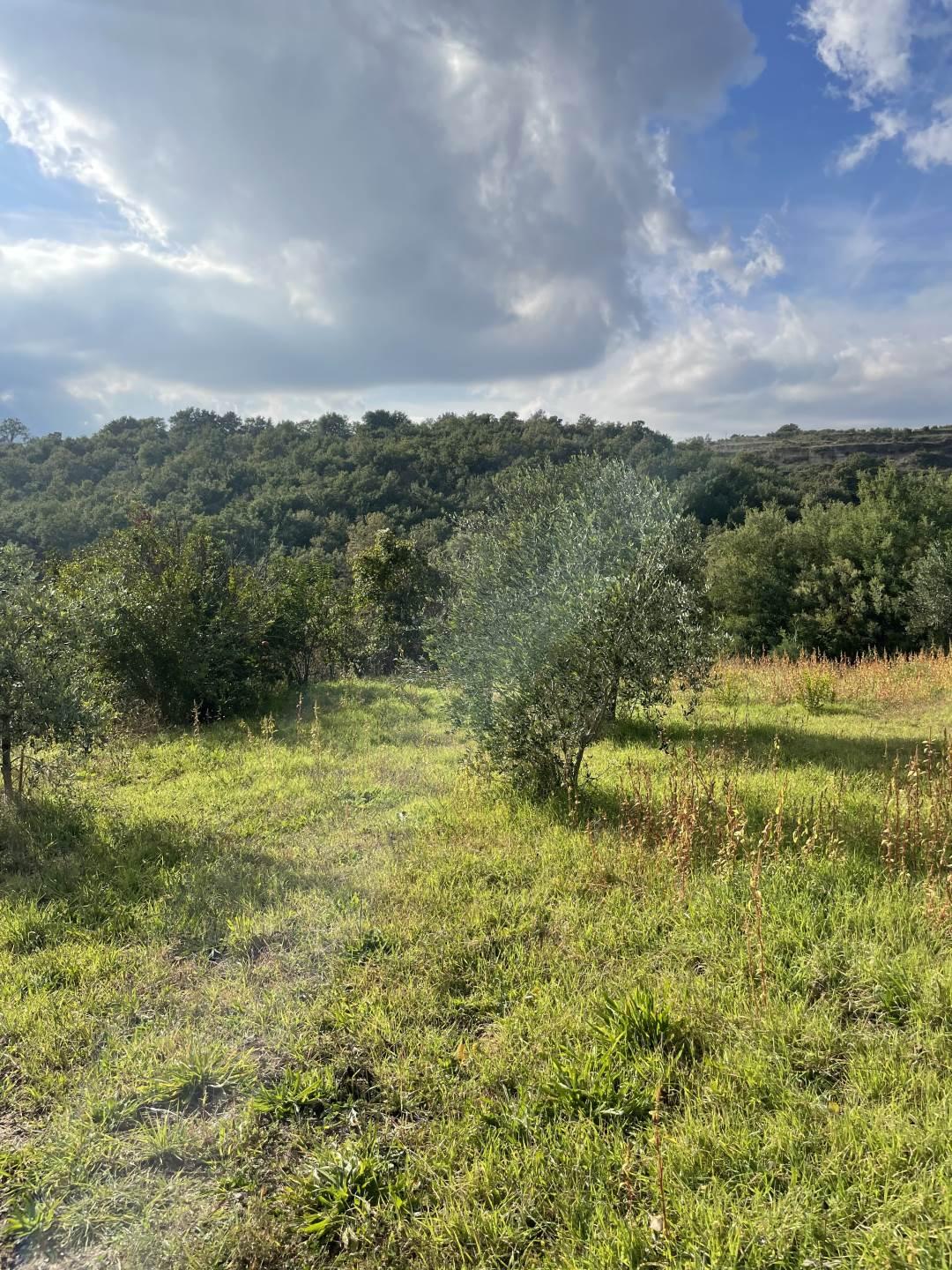 Rustico, Tuscania