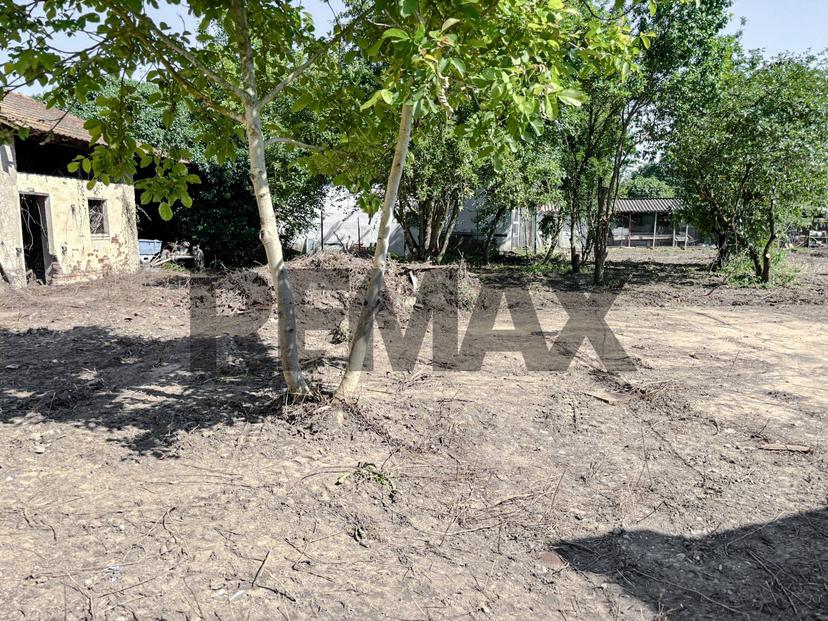 Rustico in Via Bosco 1, Langosco — foto 5 di 5